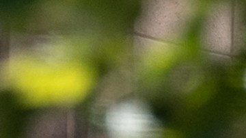 US-INTERNET-MERGER-TWITTER-MUSK