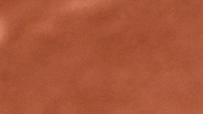 Ambos tenistas realizarán una gira de exhibición por varios países de Latinoamérica.