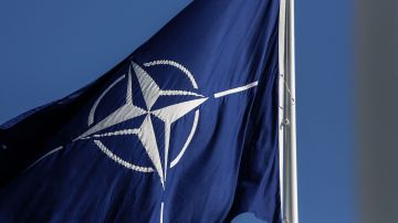 Ucrania anunció una oferta para ser miembro acelerado de la OTAN.