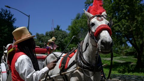 "Ryder", un caballo de carruaje turístico de NYC, murió este lunes.