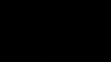 The FBI Executes A Search Warrant At Former President Trump's Mar-A-Lago Estate