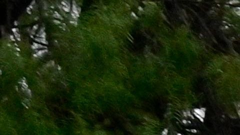 MEXICO-MINING-ACCIDENT