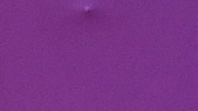 Ary Tenorio es una modelo venezolana que vive en México desde hace varios años.