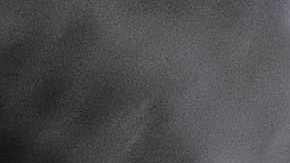 Los primeros Homo sapiens utilizaron adhesivos hechos de árboles locales de Podocarpus.