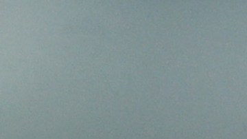 Virus "mortal" en monos a punto de propagarse a los humanos.