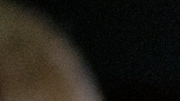 Elecciones medio término