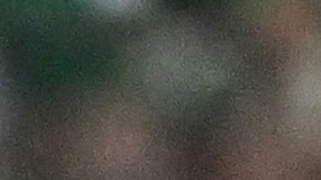 Tata Martino durante el partido amistoso entre México y Colombia.