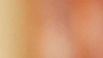 Antony Blinken Brasil Lula Bolsonaro Elecciones