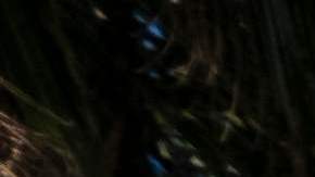 US-WEATHER-HURRICANE-IAN