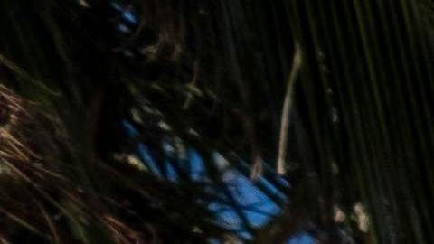 US-WEATHER-HURRICANE-IAN