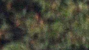 Se trata del sexto evento de lanzamiento de misiles de Corea del Norte en las últimas dos semanas.