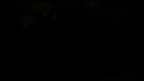 THAILAND-SHOOTING-CHILDREN