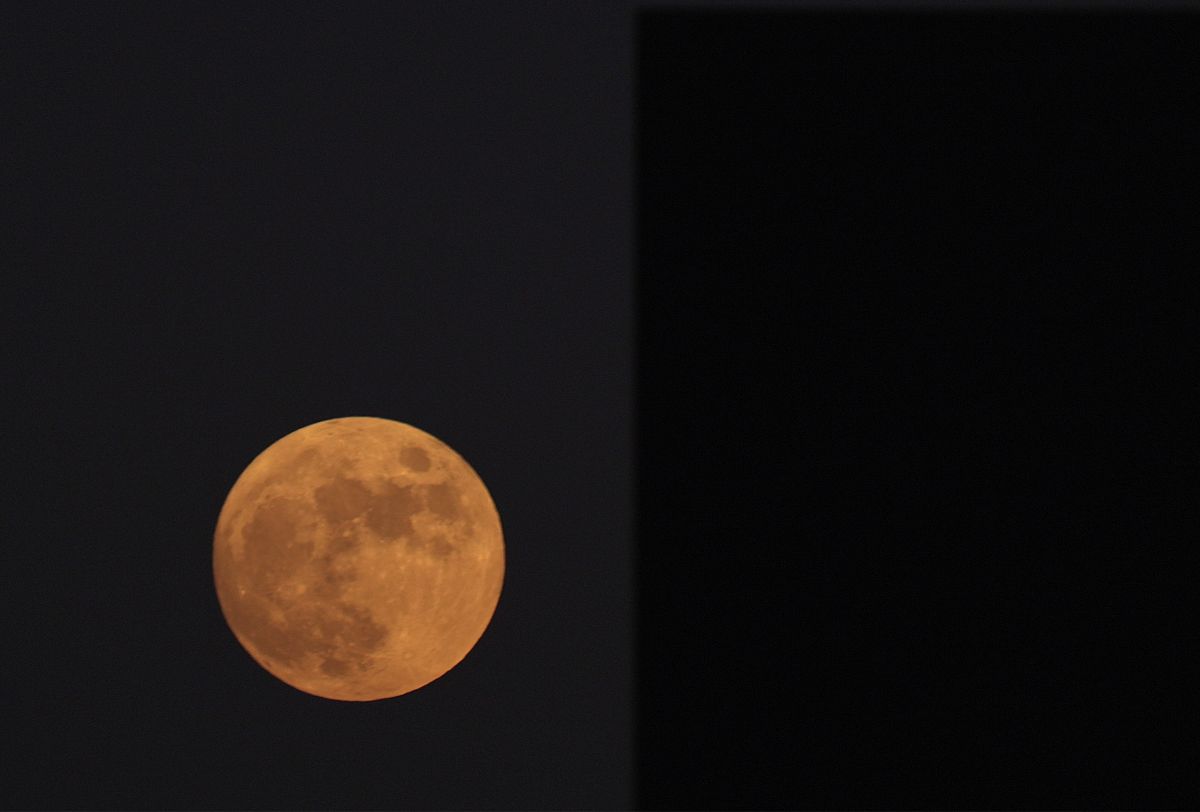 Científicos australianos quieren cultivar plantas en la Luna en 2025