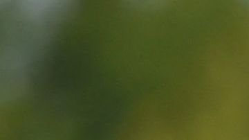 Se eleva la tensión entre Corea del Norte y Corea del Sur.