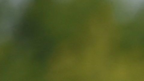 Se eleva la tensión entre Corea del Norte y Corea del Sur.