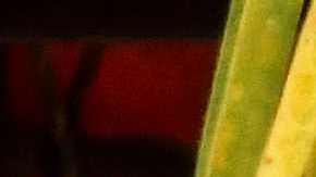 COLOMBIA-VENEZUELA-US-MIGRATION