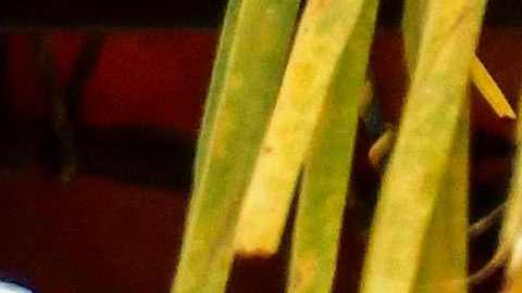 COLOMBIA-VENEZUELA-US-MIGRATION