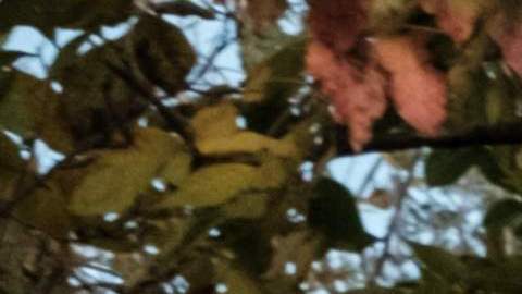 Soldados ucranianos a las afueras de Kiev.