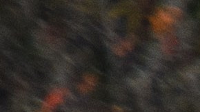 Shooting Leaves 5 Dead In Suburban Neighborhood Of Raleigh, North Carolina