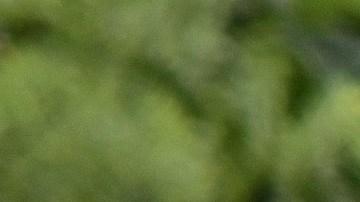 Inmigrantes venezolanos México Estados Unidos Tijuana