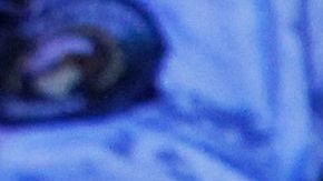 MEXICO-CRIME-VIOLENCE-BAR-ATTACK