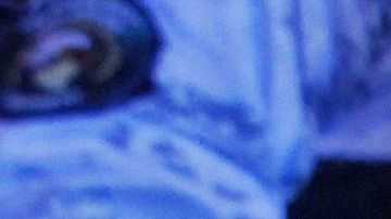 MEXICO-CRIME-VIOLENCE-BAR-ATTACK