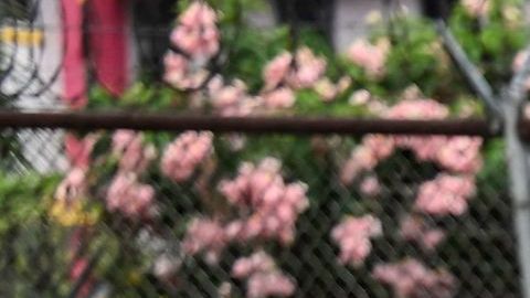 Migrantes venezolanos México