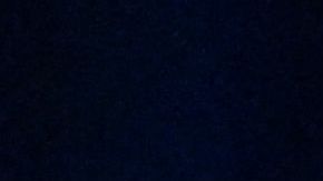 US-VOTE-POLITICS-BIDEN-HARRIS-DEMOCRATS