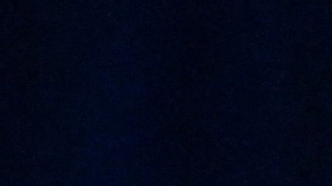 US-VOTE-POLITICS-BIDEN-HARRIS-DEMOCRATS