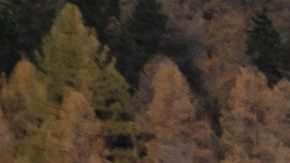 La compañía Rhaetian Railway opera el tren de 1.2 millas de largo.