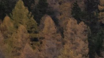 La compañía Rhaetian Railway opera el tren de 1.2 millas de largo.