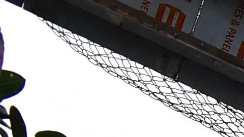 Reportan la muerte de más de 140 personas tras el colapso del puente.