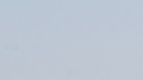 INDIA-ACCIDENT-BRIDGE