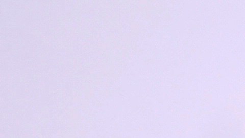 No se sabe dónde queda la mansiòn recién remodelada de Reese Witherspoon.