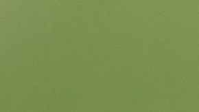 La promesa de Mina causó polémica en todo el fútbol boliviano.