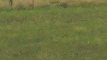 Sani Aliyu alquiló la avioneta para una cena romántica.