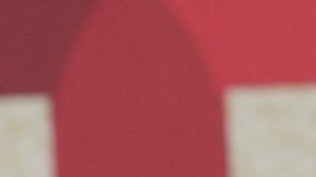 Natti Natasha y Raphy Pina