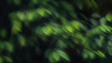 Panamá Estados Unidos Selva de Darién