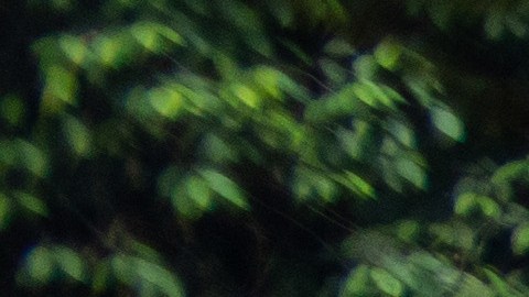Panamá Estados Unidos Selva de Darién