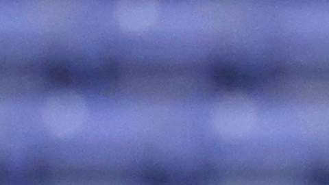 Veljko Paunovic durante su trabajo como entrenador del Reading en la Championship de Inglaterra.