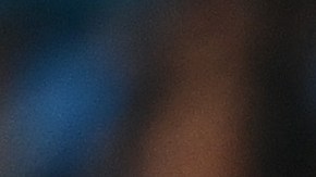 Brighton & Hove Albion