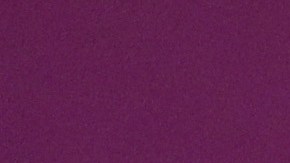 La cantante Shakira se sigue viendo envuelta en polémica tras anunciar que pronto saldrá su nueva canción.