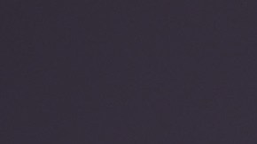 Lizzo es dueña de una mansión moderna recién construida.