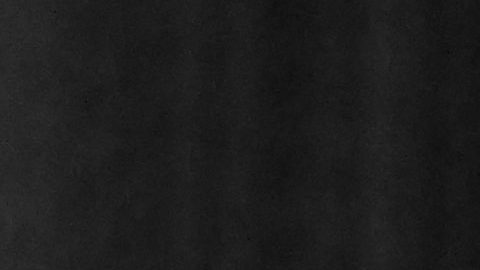 Adele iniciará sus estudios universitarios y cursará Literatura Inglesa.