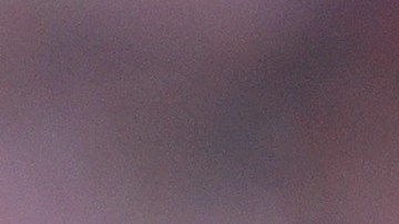 Javier "Chicharito" Hernández