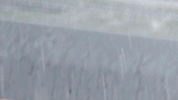 Beagles From Mass Breeding Factory Up For Adoption At Animal Rescue Centers In Virginia