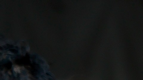 Migrantes inmigrantes venezolanos Mé