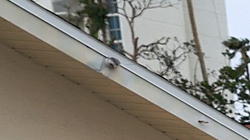 Hurricane Ian Slams Into West Coast Of Florida