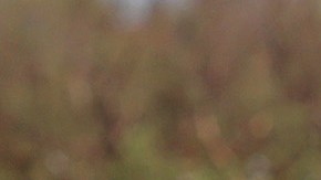 Huracán Ian Fort Myers Florida