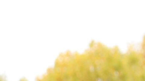 Khloé Kardashian ha revelado que se sometió a un procedimiento para extirpar un tumor de su rostro.